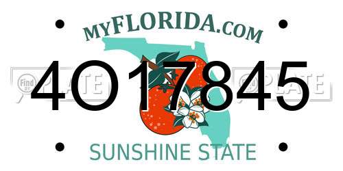 4O17845 Florida License Plate