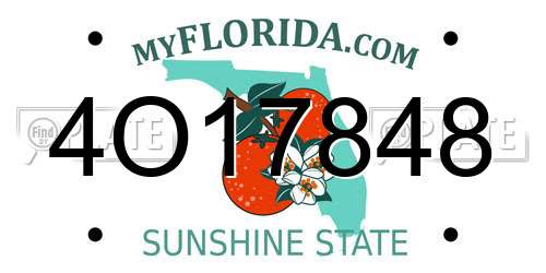 4O17848 Florida License Plate