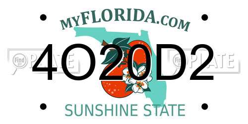 4O20D2 Florida License Plate