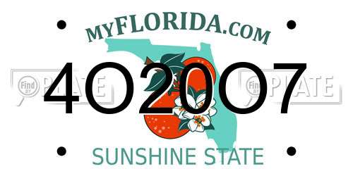 4O20O7 Florida License Plate