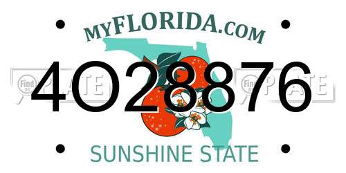 4O28876 Florida License Plate