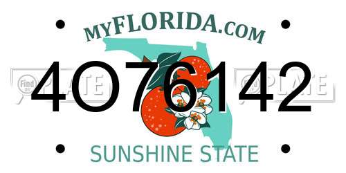 4O76142 Florida License Plate