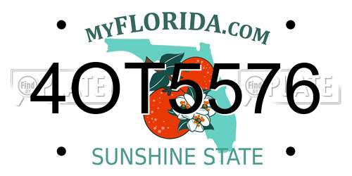4OT5576 Florida License Plate