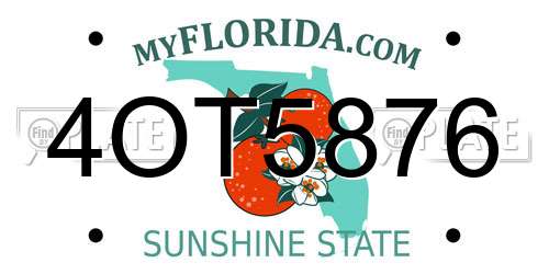 4OT5876 Florida License Plate
