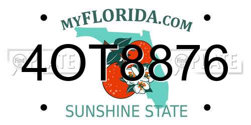 4OT8876 Florida License Plate