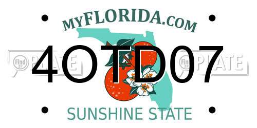 4OTD07 Florida License Plate