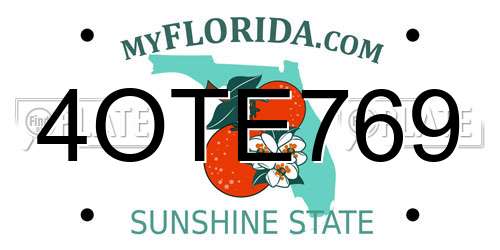 4OTE769 Florida License Plate