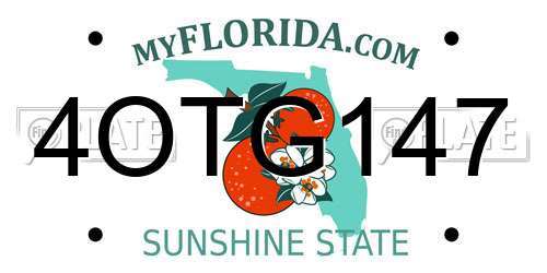 4OTG147 Florida License Plate
