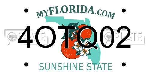 4OTQ02 Florida License Plate