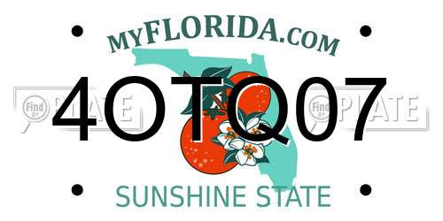 4OTQ07 Florida License Plate