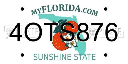 4OTS876 Florida License Plate