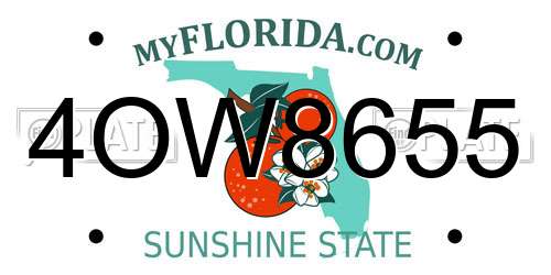 4OW8655 Florida License Plate