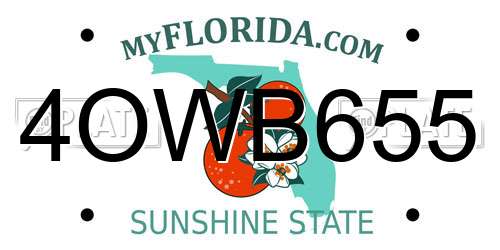 4OWB655 Florida License Plate
