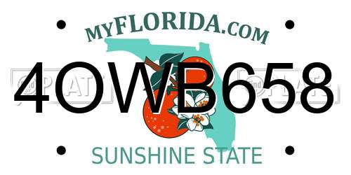 4OWB658 Florida License Plate