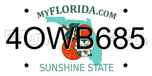 4OWB685 Florida License Plate