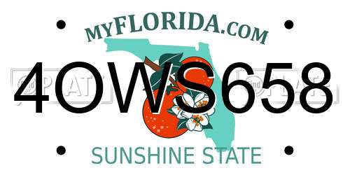 4OWS658 Florida License Plate