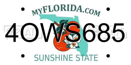 4OWS685 Florida License Plate