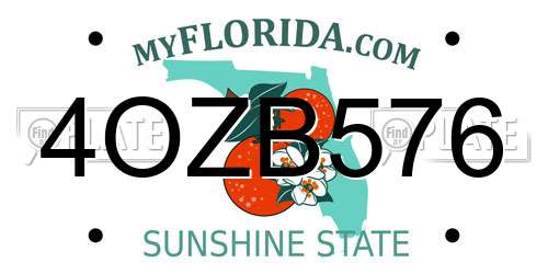 4OZB576 Florida License Plate