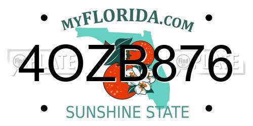 4OZB876 Florida License Plate