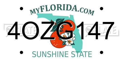 4OZG147 Florida License Plate