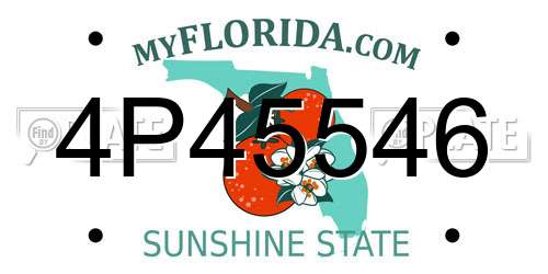 4P45546 Florida License Plate