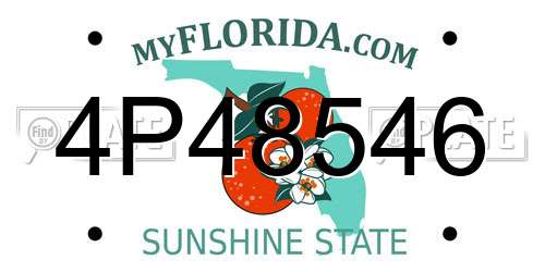 4P48546 Florida License Plate
