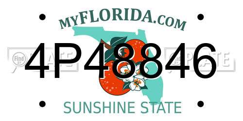 4P48846 Florida License Plate