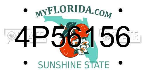 4P56156 Florida License Plate
