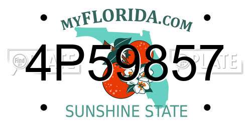 4P59857 Florida License Plate