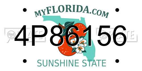 4P86156 Florida License Plate