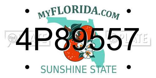 4P89557 Florida License Plate