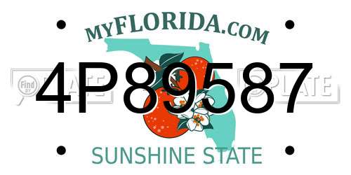 4P89587 Florida License Plate