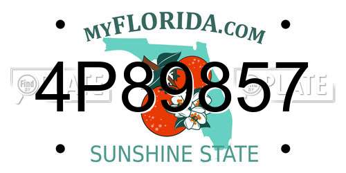 4P89857 Florida License Plate