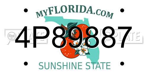 4P89887 Florida License Plate