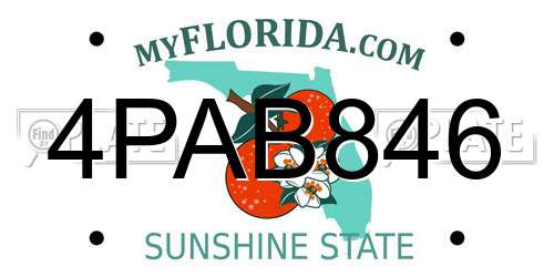 4PAB846 Florida License Plate