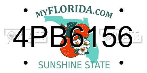 4PB6156 Florida License Plate