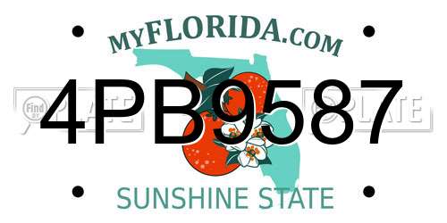 4PB9587 Florida License Plate