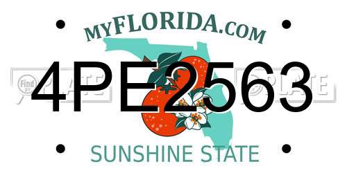 4PE2563 Florida License Plate
