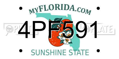 4PF591 Florida License Plate