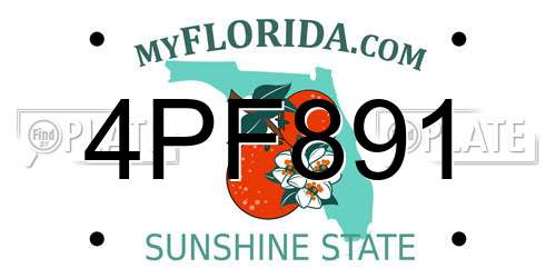 4PF891 Florida License Plate