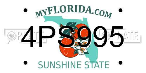 4PS995 Florida License Plate