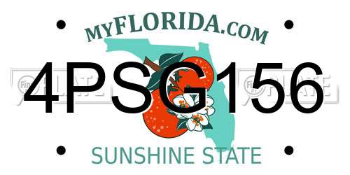4PSG156 Florida License Plate