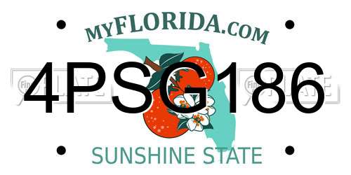 4PSG186 Florida License Plate