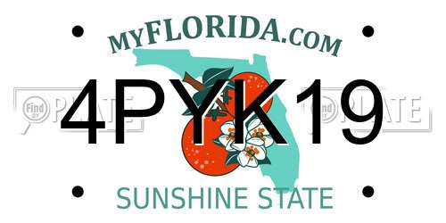 4PYK19 Florida License Plate