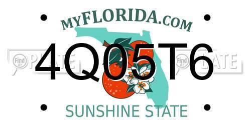 4Q05T6 Florida License Plate