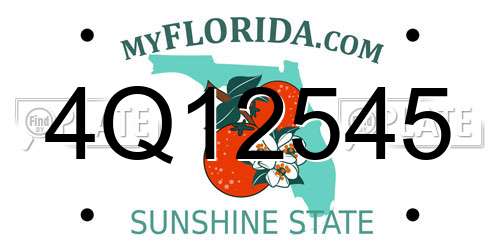 4Q12545 Florida License Plate