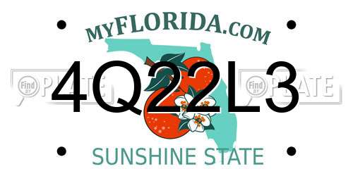 4Q22L3 Florida License Plate