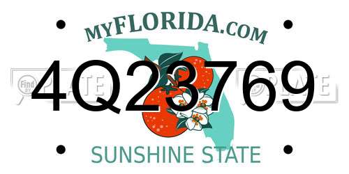 4Q23769 Florida License Plate