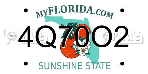 4Q70O2 Florida License Plate