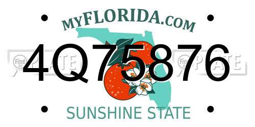 4Q75876 Florida License Plate